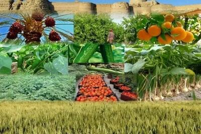 نماینده مجلس: کشاورزی خاکریز اول حفظ استقرار و امنیت کشور است