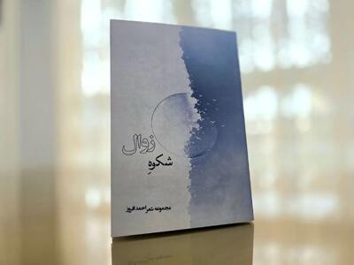  دومین دفتر شعر احمد افروز با عنوان «شکوه زوال» منتشر شد