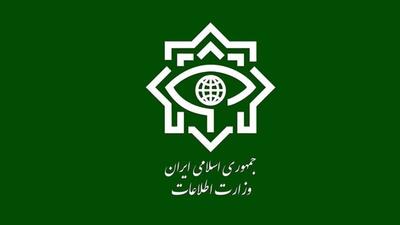  وزارت اطلاعات: ۴ شبکه خرابکاری خیابانی منهدم شدند