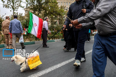 تصاویر رزمایش «جان‌فدایان» در کرج؛ از حضور عروس‌ها و دامادها تا شعارنویسی روی کاغذ و نصب آن بر روی سگ؛ نتانیاهو مثل همین سگ به قلاده می‌کشیمت!