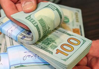  قیمت دلار امروز شنبه ۱۱ مهرماه/ کاهش نرخ حواله یورو در مرکز مبادله