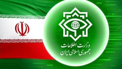  وزارت اطلاعات: ۴ شبکه خرابکاری خیابانی منهدم شدند
