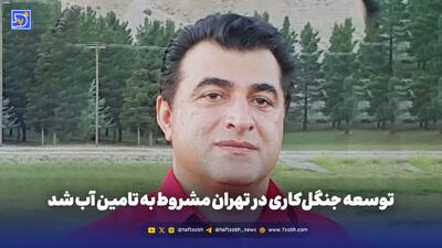  توسعه جنگل‌کاری در تهران مشروط به تامین آب شد