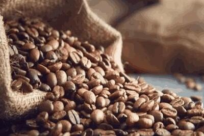  چرا کیفیت قهوه مهم‌تر از قیمت آن است؟ راهنمای انتخاب قهوه مناسب