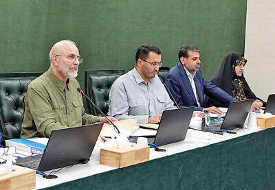 تعجب «بهارستان» از مکانیزم ارزی «میرداماد»