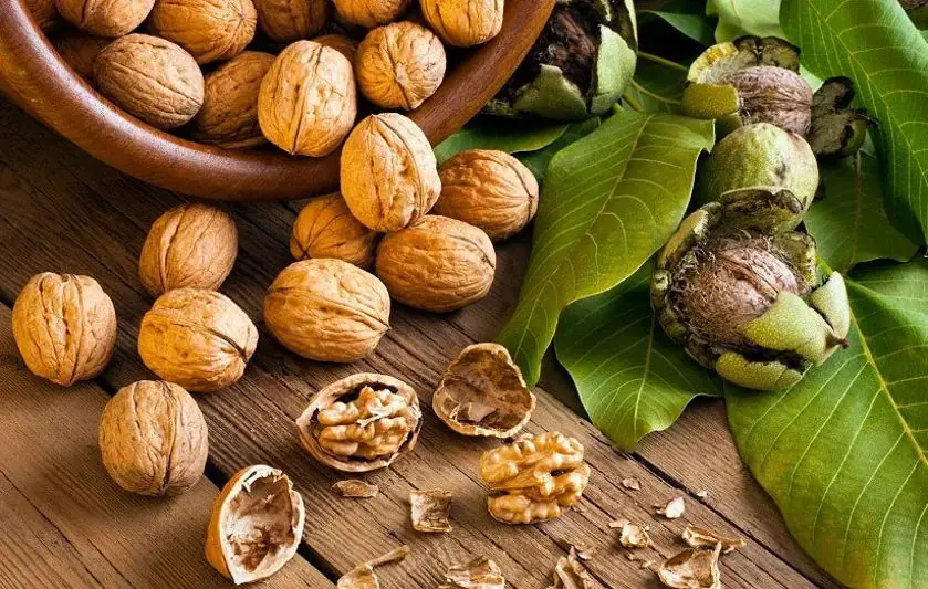 سومین جشنواره ملی گردو ثمرین اردبیل برگزار میشود | انصاف نیوز