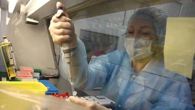  مرگ مشکوک یک زن در مرکز تحقیقاتی طاعون روسیه؛ کاخ سفید وضعیت را زیر نظر دارد
