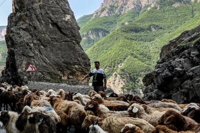  جاده چالوس بازگشایی شد
