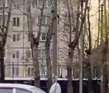  اولین ویدئوها از شهر طاعون‌زده‌ی شلخوف در سیبری