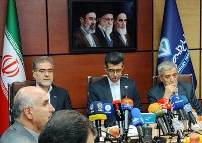 تمامی گوشت‌های منجمد وارداتی در مبادی ورودی آزمایش می‌شوند