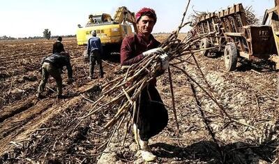  اعتراض کارگران رسمی نیشکر هفت‌تپه به طرح بازنشستگی اجباری/ سنوات ارفاقی رعایت نشد