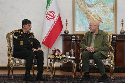  قالیباف به رادان: دشمن به‌دنبال ایجاد ناامنی در داخل کشور است - تسنیم