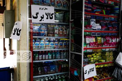  قیمت کالاهای اساسی در مهر ۱۴۰۵؛ مرغ کیلویی ۲۵۰ هزار تومان شد
