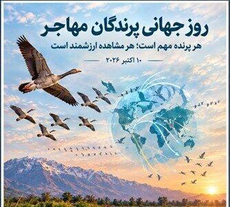  شعار «هر پرنده مهم است»