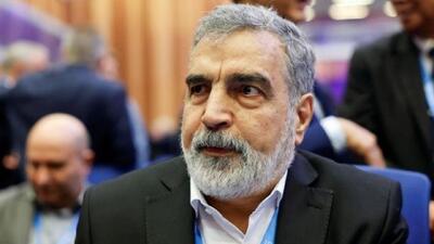  کمالوندی: منافع‌مان را یا با دیپلماسی می‌گیریم یا با نبرد
