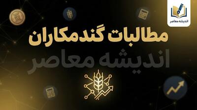  واریز باقیمانده پول گندمکاران در سال ۱۴۰۵؛ آخرین خبر از مطالبات گندم و زمان تسویه حساب کشاورزان