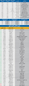  نبض شاخص