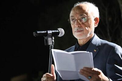  صالحی: گاه یک گفت‌وگوی صریح و انتقال دقیق پیام می‌تواند مانع تنش در روابط دیپلماتیک شود