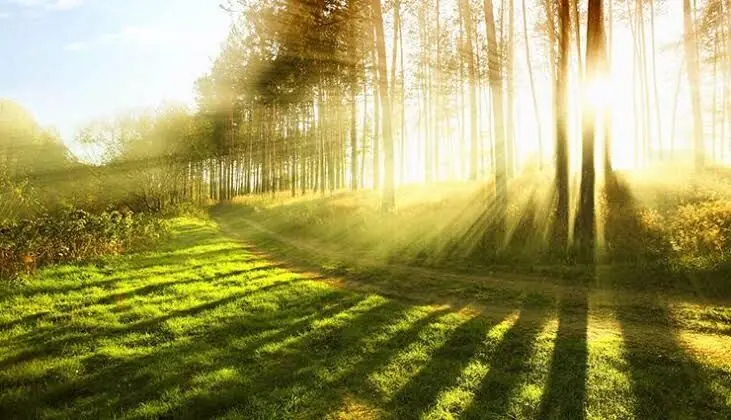  چرا نور خورشید علائم لوپوس را تشدید می‌کند؟