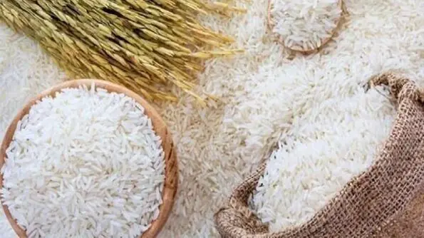 قیمت جدید برنج ایرانی در بازار / هر کیسه 10 کیلویی طارم و شیرودی چند؟