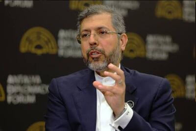  خطیب‌زاده در وین: ان‌پی‌تی با تنفس مصنوعی زنده است