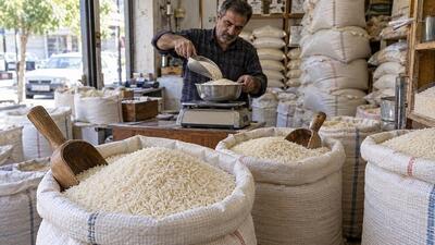  سفره خانوار زیر فشار قیمت برنج؛ نرخ برندهای پاکستانی در ۲۳ مهر اعلام شد