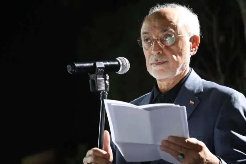  صالحی: گفت‌وگوی صریح می‌تواند مانع تنش در روابط دیپلماتیک شود