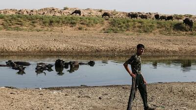  بالا آمدن فاضلاب در کوچه و خیابان های شهر رفیع در خوزستان / عضو شورای شهر رفیع: مردم هورالعظیم هم با آلودگی و بیماری دست و پنجه نرم می کنند، هم با نابودی معیشت و زیرساخت ها