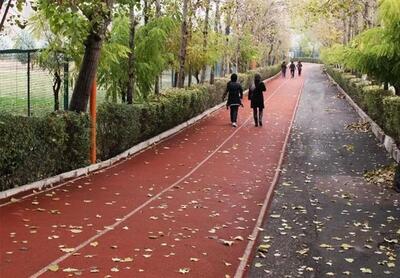 آتش سوزی مجموعه ورزشی انقلاب خسارت جانی و مالی نداشت