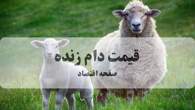  قیمت دام زنده امروز جمعه ۲۴ مهر