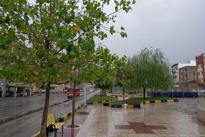 بارش پراکنده در تهران از شنبه