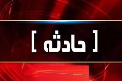  آتش‌سوزی چند درخت در حوالی ورزشگاه انقلاب / بی‌احتیاطی کارگران ساختمانی سبب آتش سوزی شد