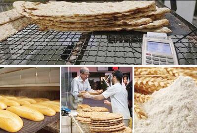 دولت به جای پرداخت یارانه آرد، قیمت گندم را واقعی کند