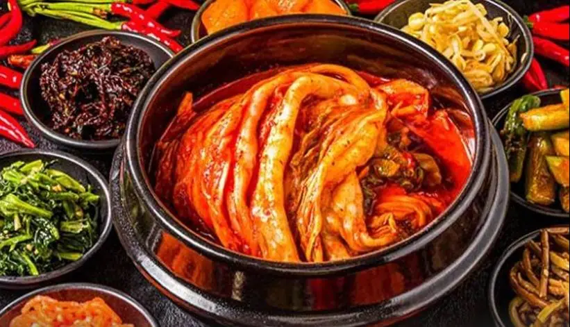  بهترین زمان مصرف غذاهای تخمیری برای سلامت روده | آخرین خبر