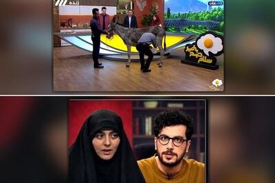 ارتباط قیاسی و زینب ابوطالبی با شیر الاغ و تراکتور در تلویزیون
