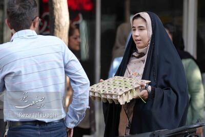  شوک به بازار تخم‌مرغ؛ قیمت هر شانه ۷۰۰ هزار تومان شد