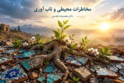  مخاطرات محیطی و تاب‌آوری: رهیافتی جامع به سوی پایداری زیست‌محیطی و سرمایه اجتماعی