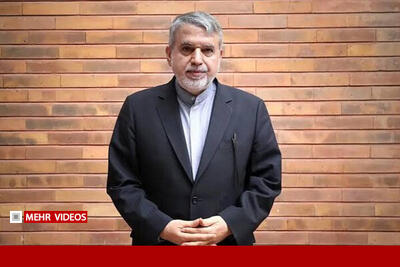  صالحی‌امیری: صیانت از میراث تاریخی، مسئولیتی ملی است