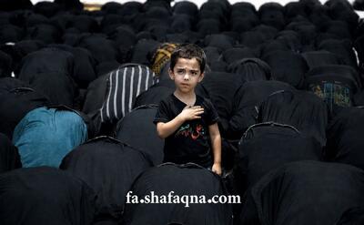  برگزیده دوازدهم مسابقه عکس شفقنا (۱۴۰۵) / آقای معین هاشم زاده