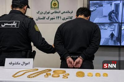  دستگیری سارق طلا و سکه در شهرک گلستان/ ردپای آشنای صاحبخانه در سرقت منزل