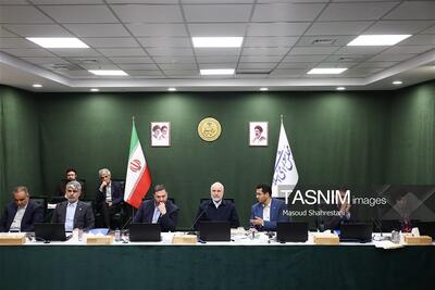 سعیدی: تعطیلی مجلس را نمی‌توان صرفاً با تشکیل نشدن جلسات علنی سنجید - تسنیم