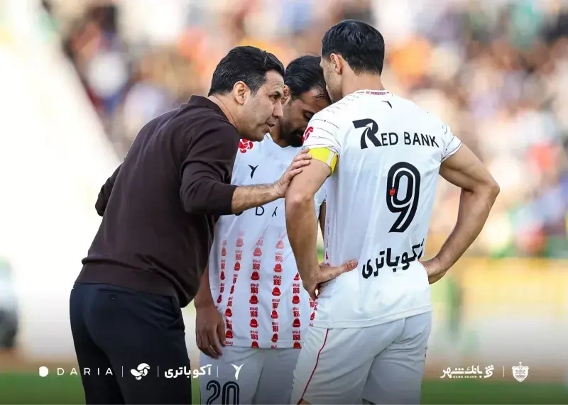  علیپور: تارتار عذرخواهی نکرد، دلجویی کرد