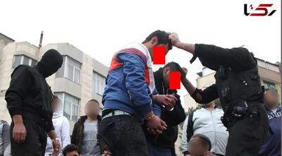  سارق خشن، از ناحیه کتف؛ شُش های قربانی را پاره کرد | آخرین خبر