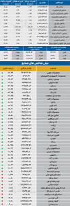  نبض شاخص
