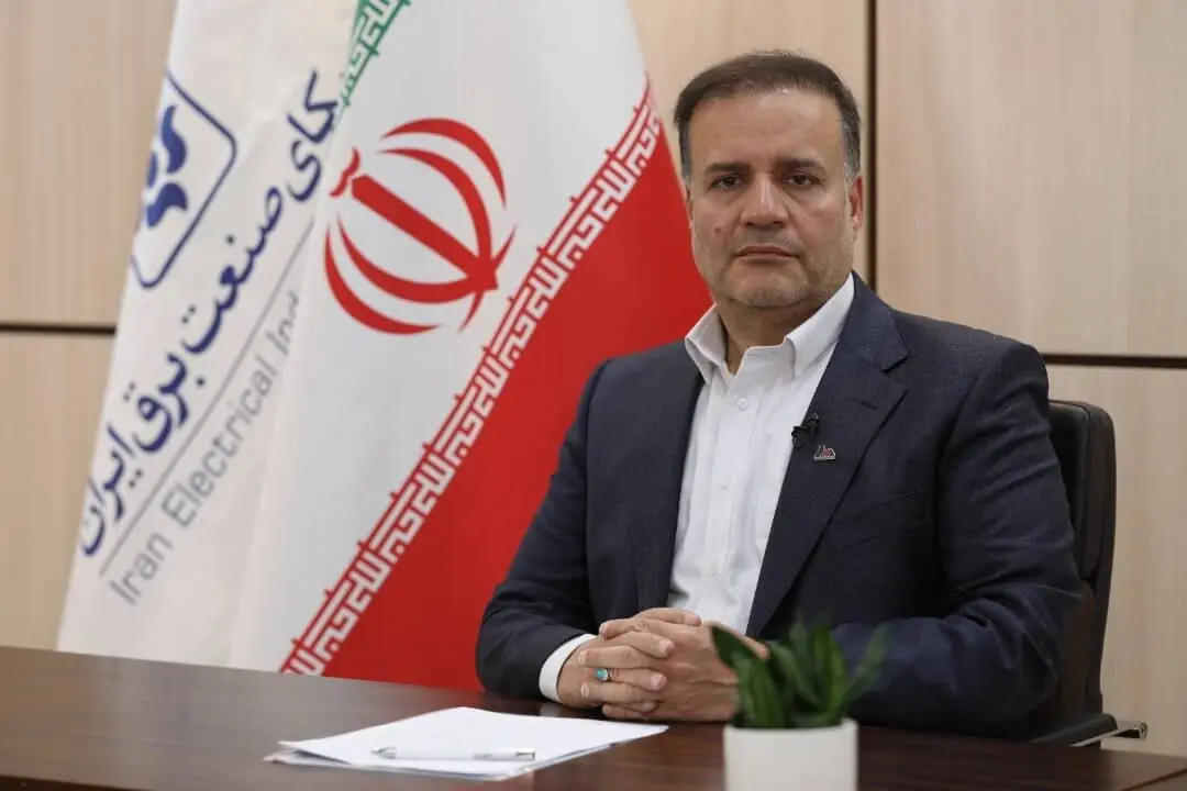  [محمدهادی فقیه‌زاده] برق ارزان، ترمز تولید