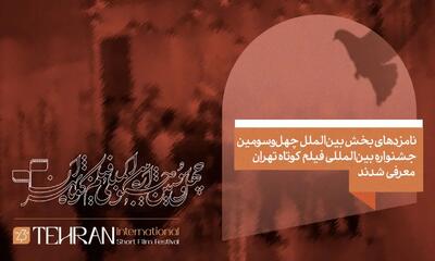  نامزدهای بخش بین‌الملل چهل و سومین جشنواره بین‌المللی فیلم کوتاه تهران معرفی شدند