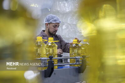  تولید در خط مقدم امنیت غذایی