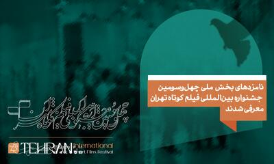  نامزدهای چهل و سومین جشنواره بین‌المللی فیلم کوتاه تهران | مجموعه رسانه ای صبا