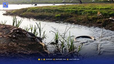  آنچه پس از برداشت، به طبیعت تحمیل می‌شود