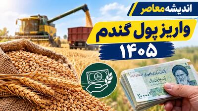  واریز پول گندم‌کاران ۱۴۰۵؛ آخرین خبر از زمان پرداخت باقی‌مانده مطالبات و وعده جدید دولت
